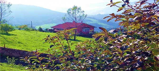¿En Asturias? Te contamos nuestra ruta por Llanes, Cabrales y Peñamellera Baja ¿En Asturias? Te contamos nuestra ruta por Llanes, Cabrales y Peñamellera Baja