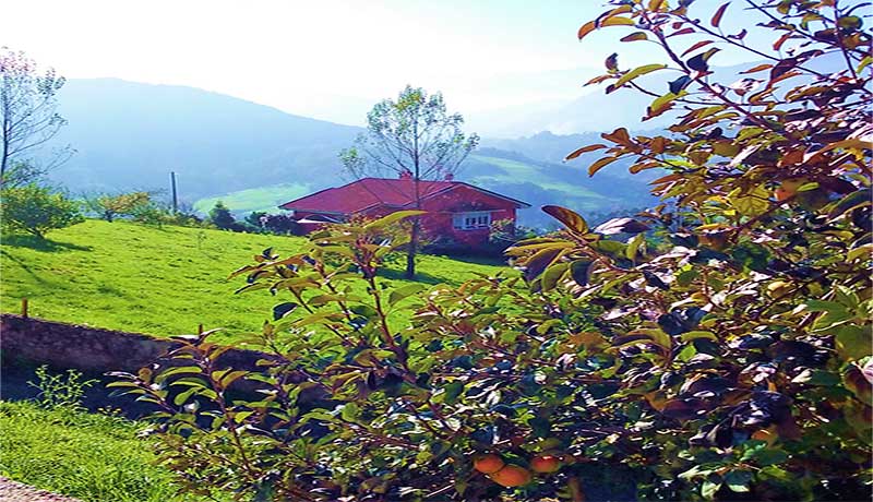 Cabrales,-Posada-y-Peñamellera-Asturias unaymasrutas