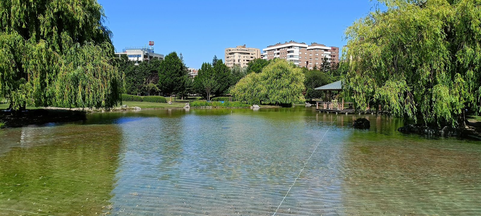 Un Jardín japonés en Pamplona Parque Yamaguchi