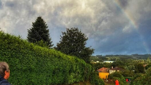 El Camino Primitivo De Oviedo a Santiago de Compostela