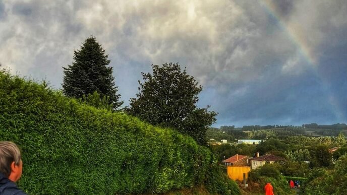 El Camino Primitivo De Oviedo a Santiago de Compostela
