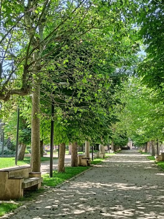 Parques en Reinosa