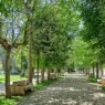 Parques en Reinosa